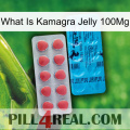 What Is Kamagra Jelly 100Mg new14